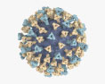 麻疹ウイルス 3Dモデル