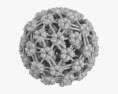 Papilloma Virus 3d model