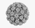 Papilloma Virus 3d model