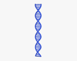 DNA 3D model