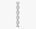 ДНК 3D модель