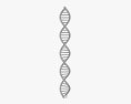 ADN Modèle 3d